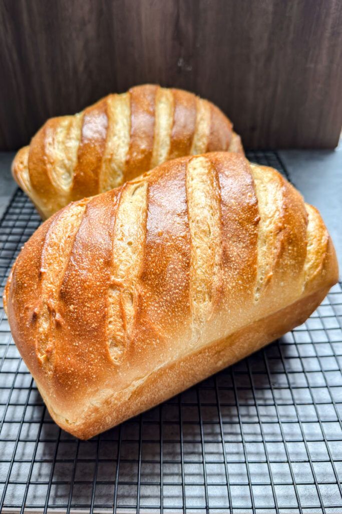 Soft and Tender Sourdough Sandwich Bread by Sourdoughtanilifun
