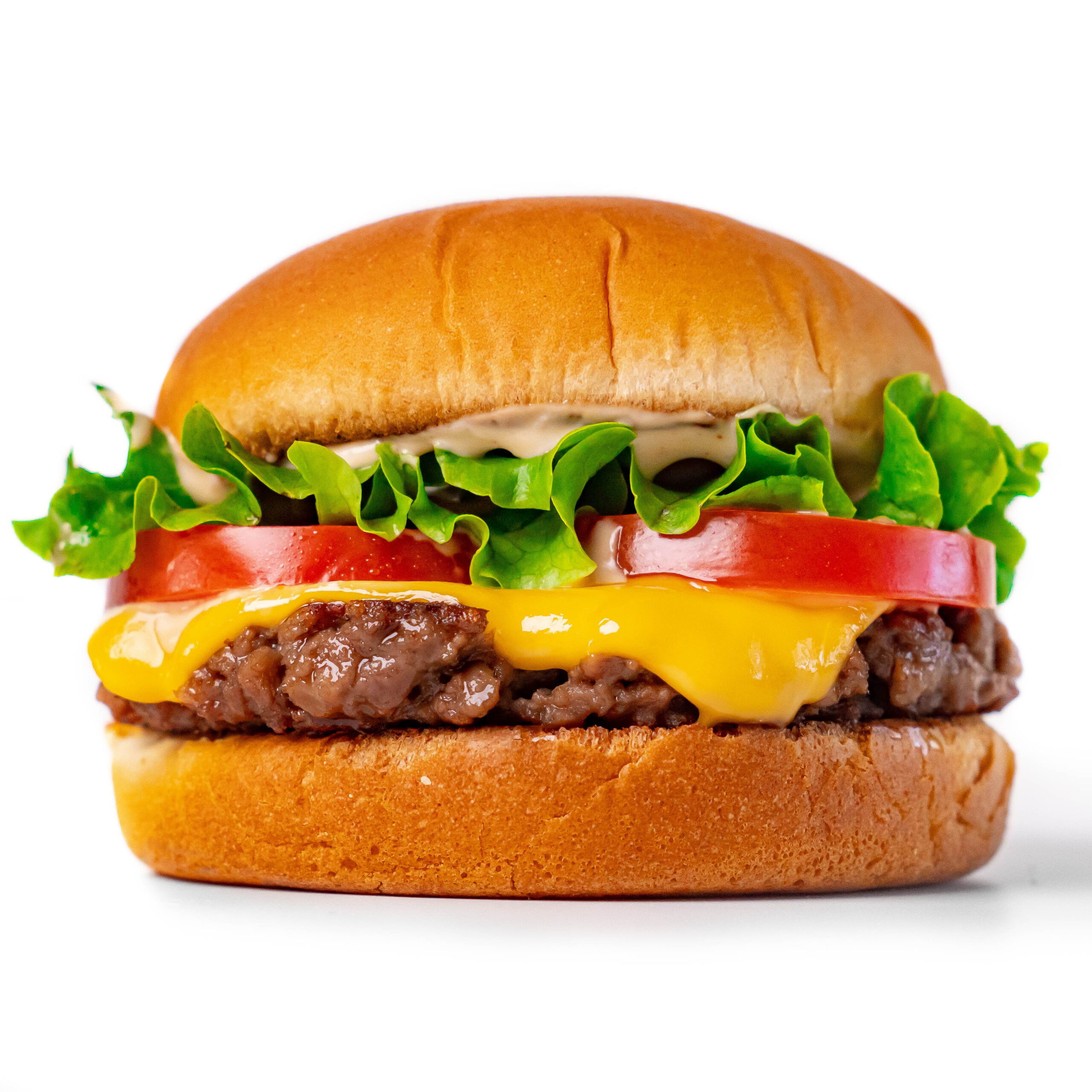 Vegan Shack Burger by Thee Burger Dude