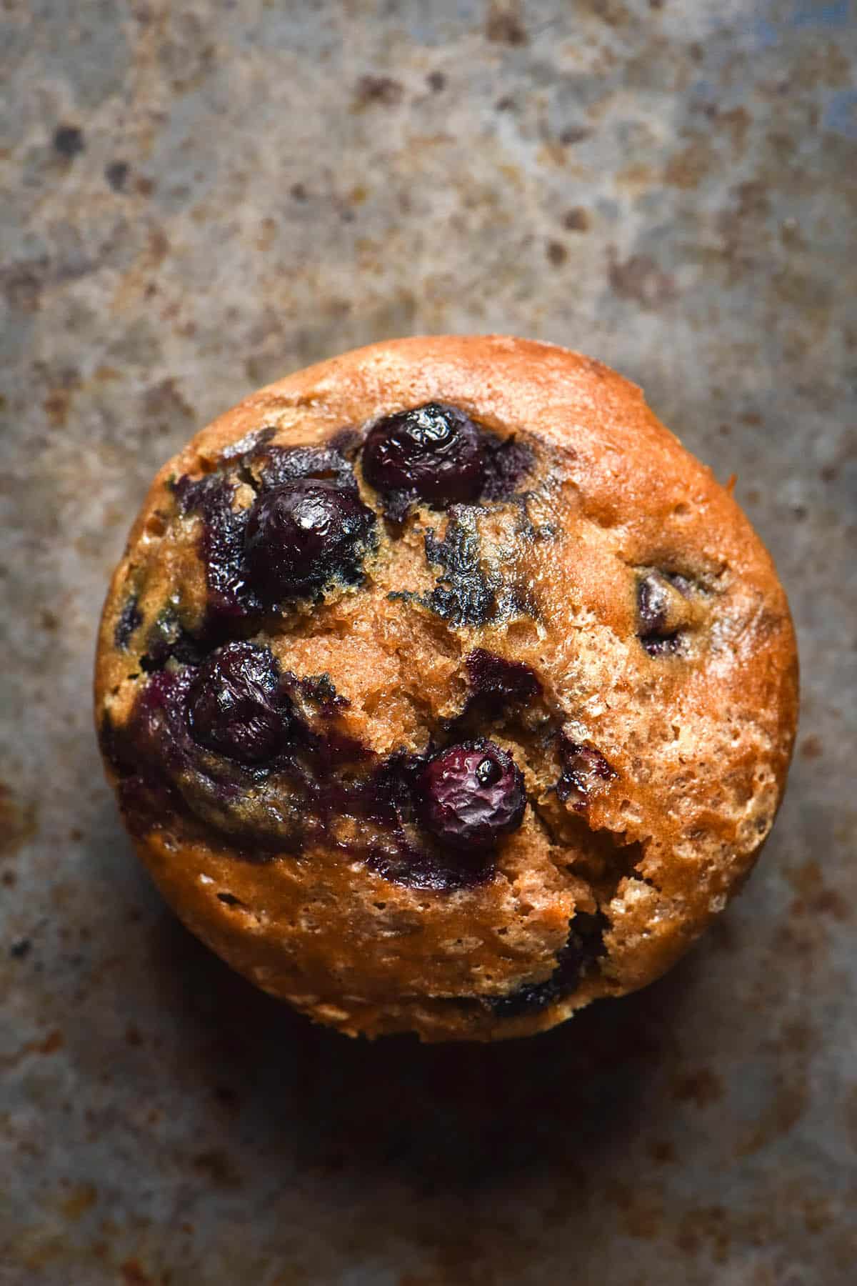 Buckwheat Muffins by George Eats