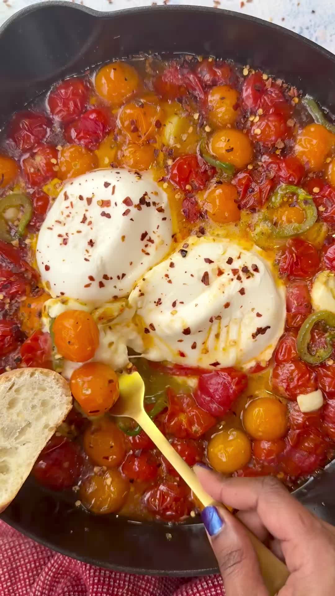 Roasted Tomato Burrata Dip by Flavorsnlife