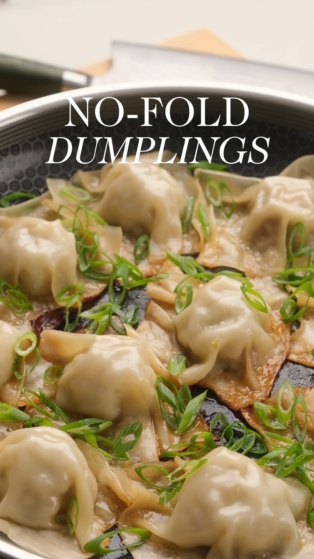 No-Fold Pan-Seared Dumplings by Tastingwiththomas