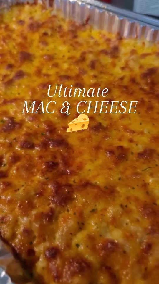 Creamy Four-Cheese Mac and Cheese by Everythingsmajor