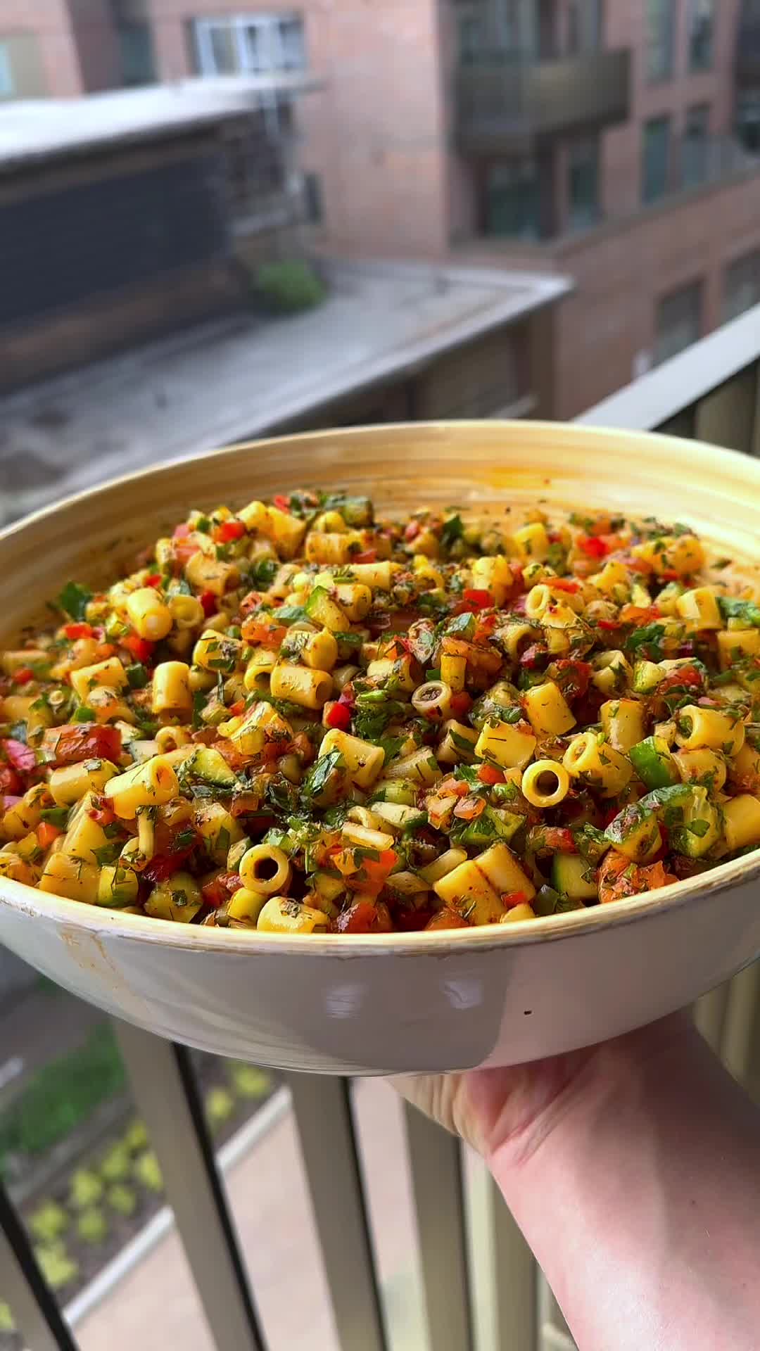 Turkish Flavor Ditalini Pasta Salad by Plantfuture