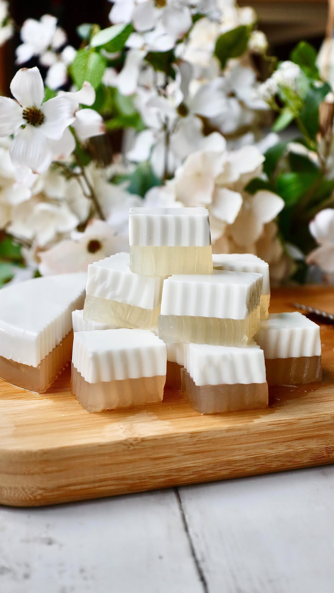 Auntie-Style Coconut Agar Agar Jello by Chercreations