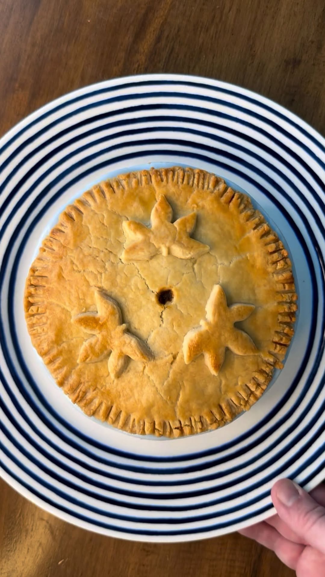 Classic British Steak and Ale Pie by Alex Trim 1