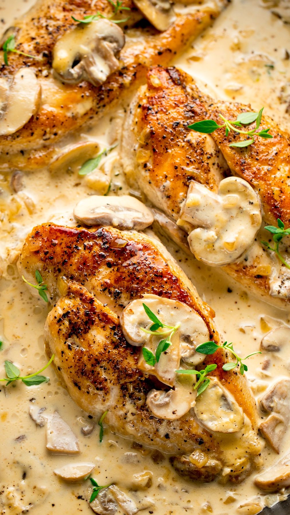 Creamy White Wine and Garlic Chicken by Nickys Kitchen Sanctuary