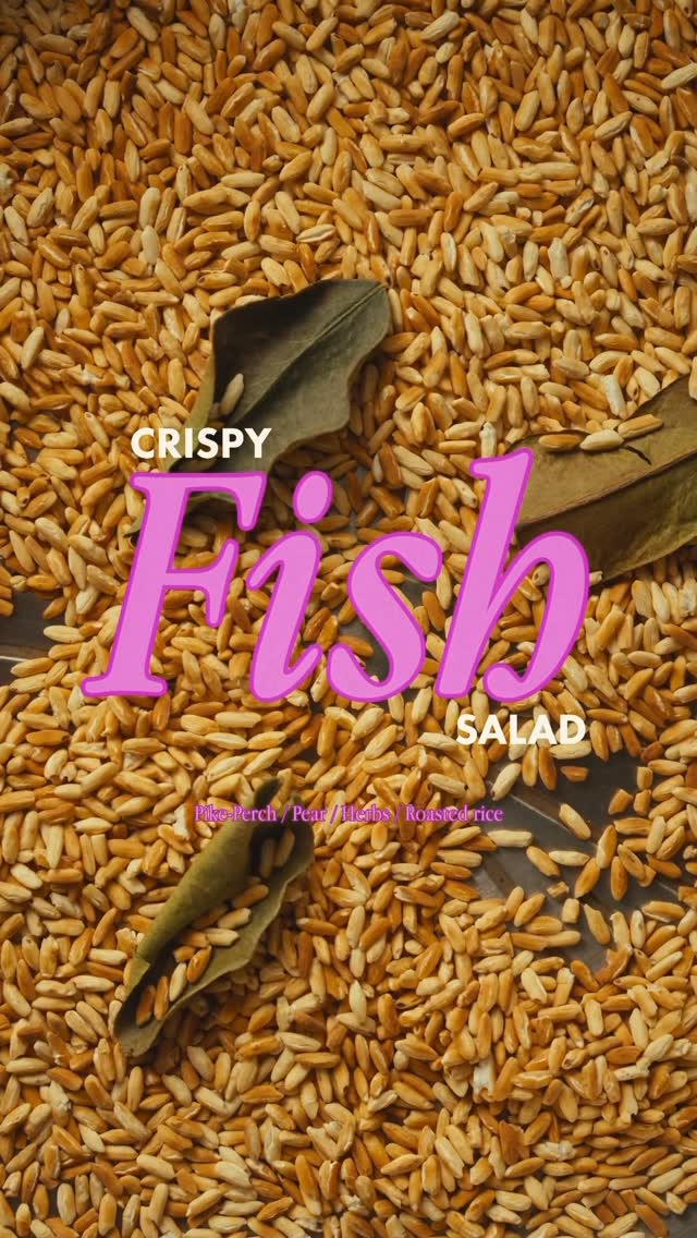 Crispy Pike-Perch Salad with Toasted Rice by Josekallioinen
